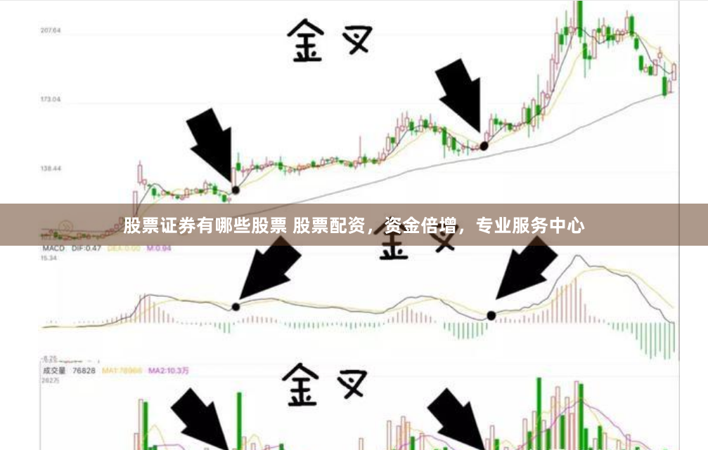 股票证券有哪些股票 股票配资，资金倍增，专业服务中心