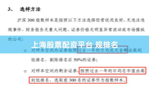上海股票配资平台 规排名