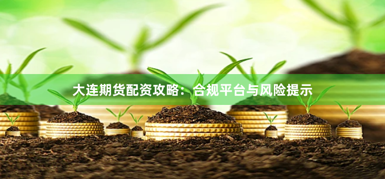 大连期货配资攻略：合规平台与风险提示